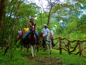 horseback riding 