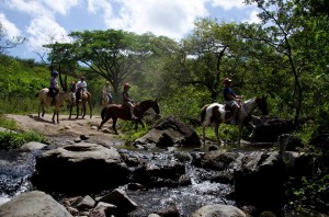 Horseback Riding Borinquen