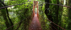 monteverde hanging bridges