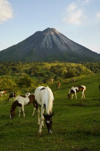 arenal