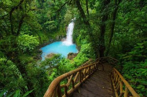 Tenorio national Park
