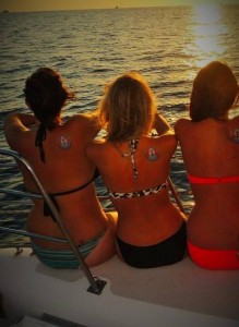 lazy lizard catamaran