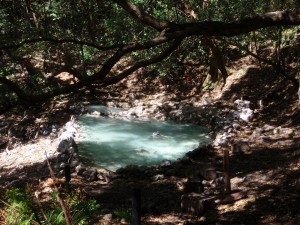 rincon 3