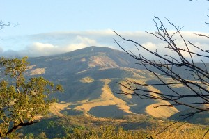rincon 6