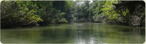 Rafting class III & IV